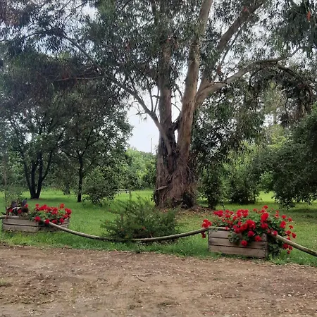 شقة فندقية Valledoro Valle-di-Campoloro